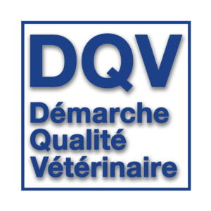 DQV Direct