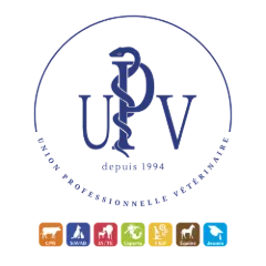 UPV